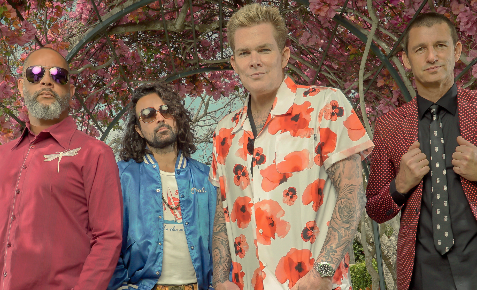 -Sugar Ray - 2021 Approuvé Photo 4 2.png